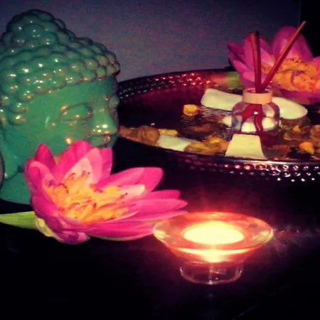 De Plaza&spa 4* Ílhavo